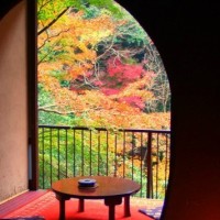 箱根和室旅館紫雲荘景色