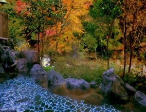 紫雲荘風呂からの景色